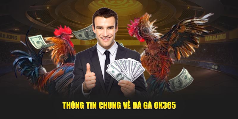 Thong-tin-chung-ve-da-ga-OK365