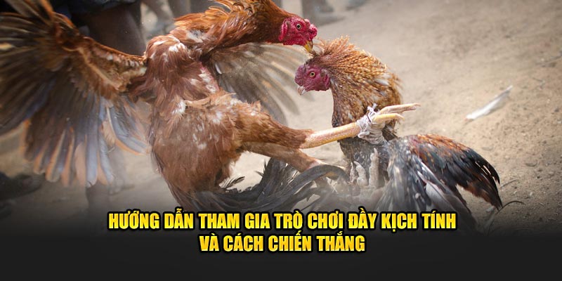 huong-dan-tham-gia-tro-choi-day-kich-tinh-va-cach-chien-thang